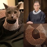 Ponette the Cat - Ruth Bader Ginsburg - Iconocat
