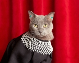Ponette as Ruth Bader Ginsburg
