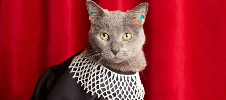 Ponette as Ruth Bader Ginsburg