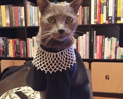 Ponette as Ruth Bader Ginsburg… Getting Close!