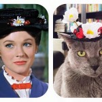 ponette the cat