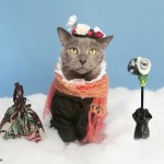 ponette cat mary poppins