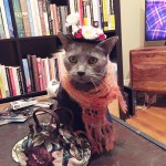 ponette the cat